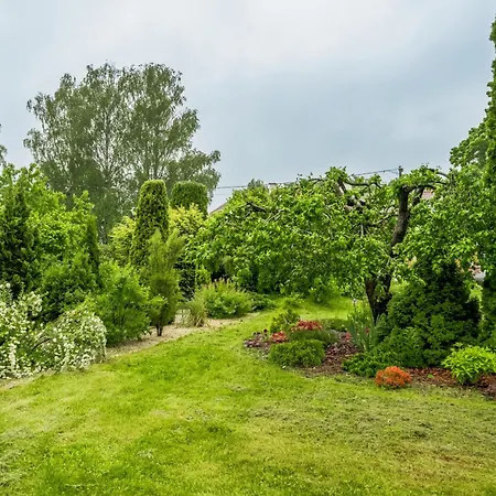 Jakobsoni 1937 빌얀디